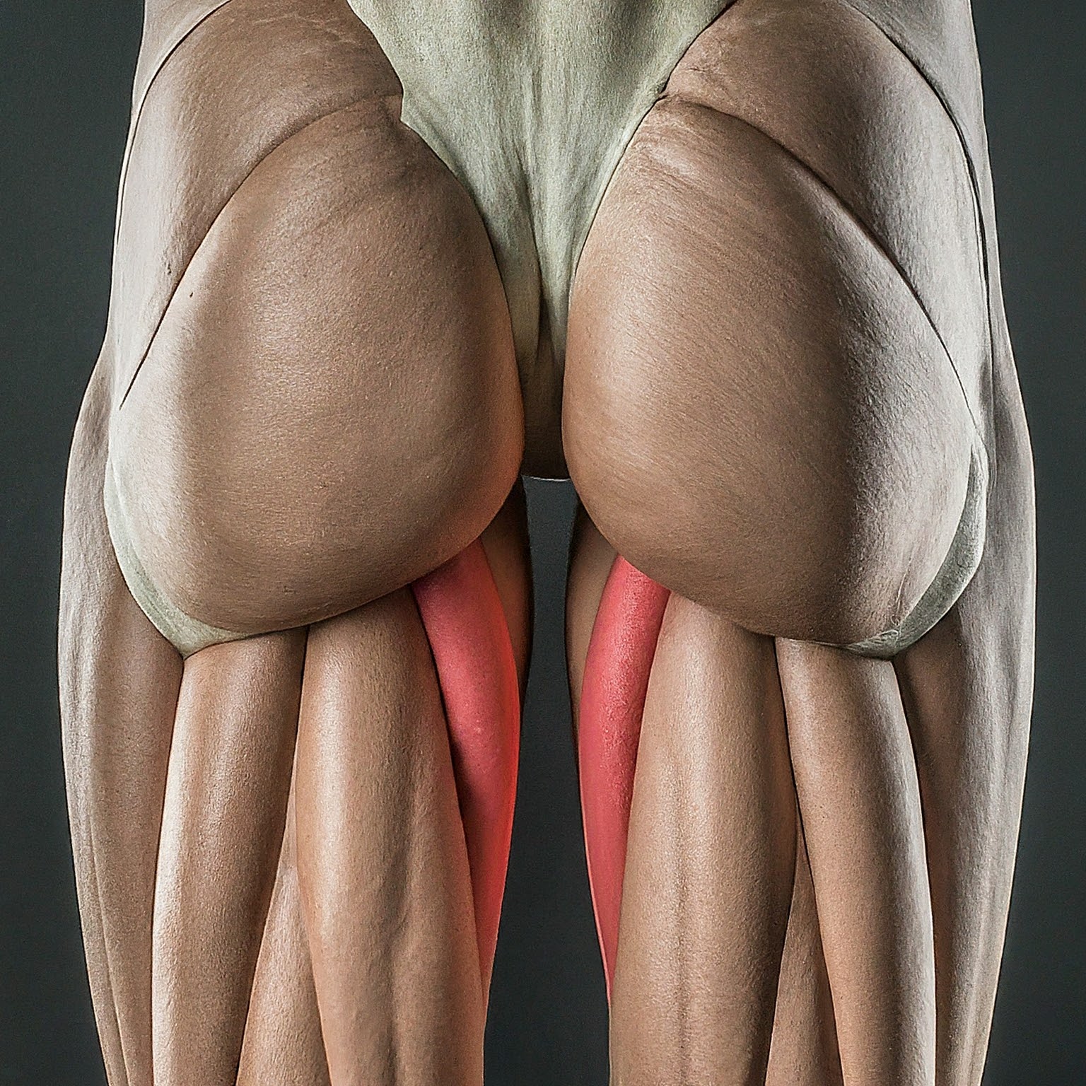 Piriformis Syndrome Physical Therapy UWS NYC and Cold Spring Piriformis Syndrome, piriformis muscle pain, sciatica, physical therapy Upper West Side NYC and Cold Spring, NY.